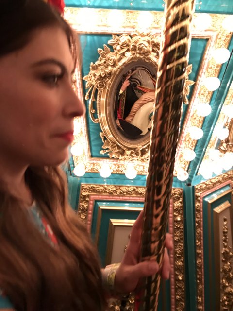 Reflections at the Carousel