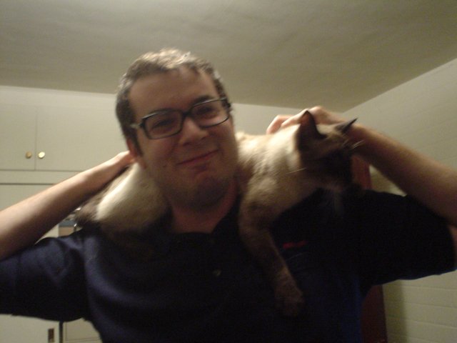 Man and Siamese Cat