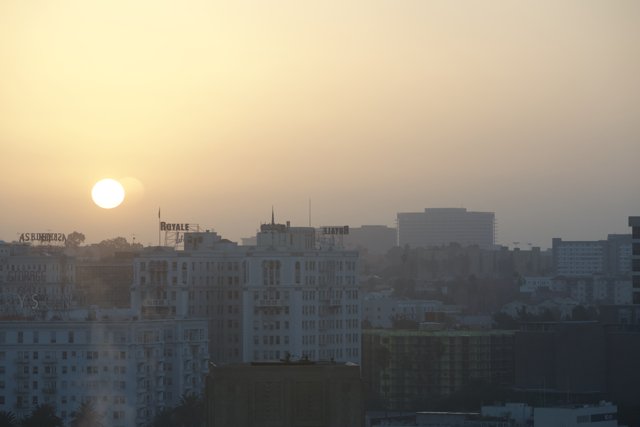 Sunset over the Urban Jungle