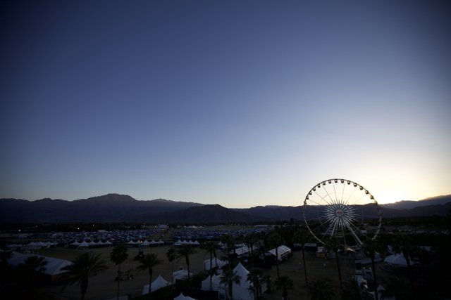 Sunset Romance at Coachella