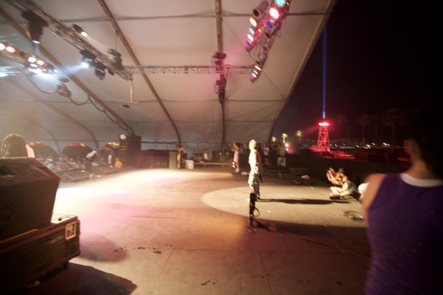 Nighttime Performance: A Crowd on Stage
