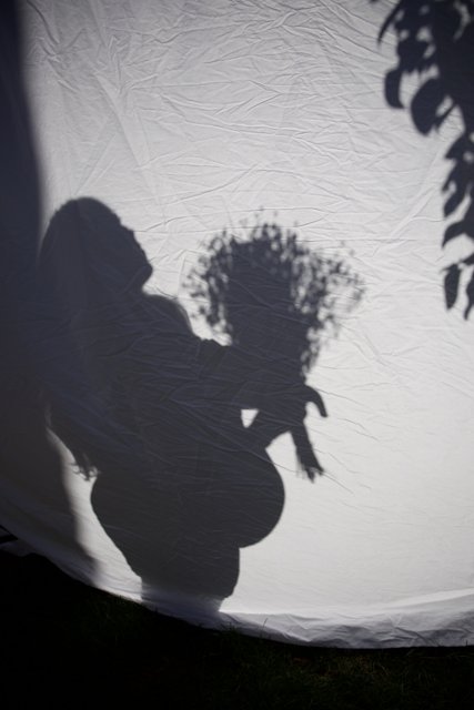 Pregnant Silhouette with Blossoms