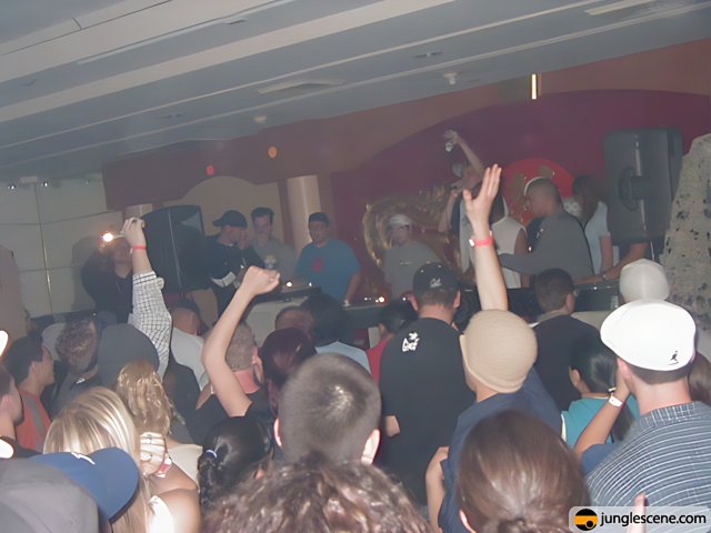 Ecstatic crowd at a nightclub