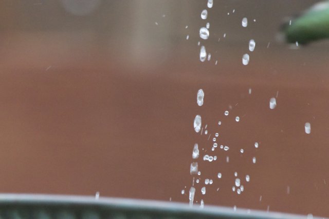 Dance of the Droplets