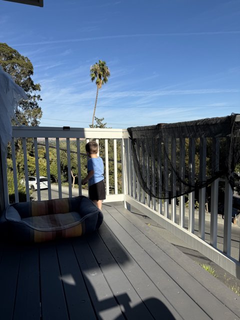 Sunny Daydreams on the Deck