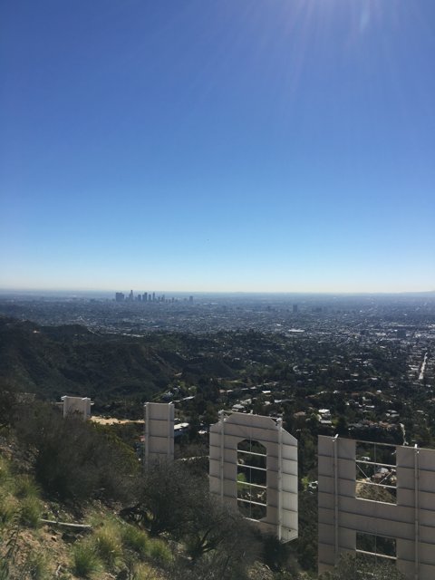 Hollywood Hilltop