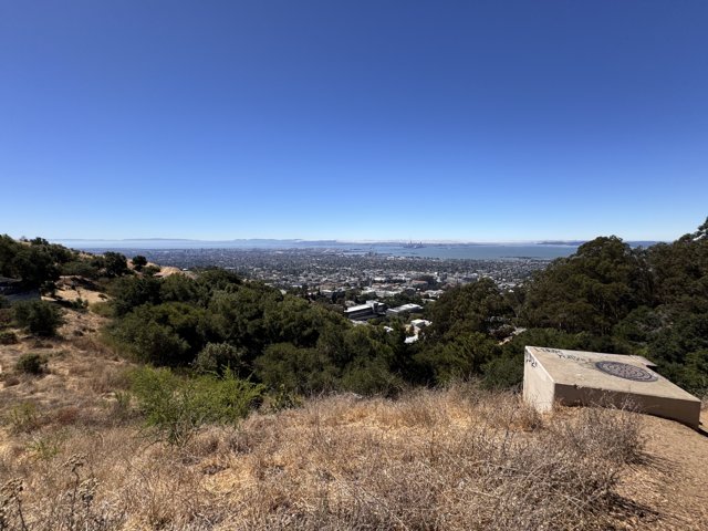 Overlooking Berkeley: Nature Meets Urban