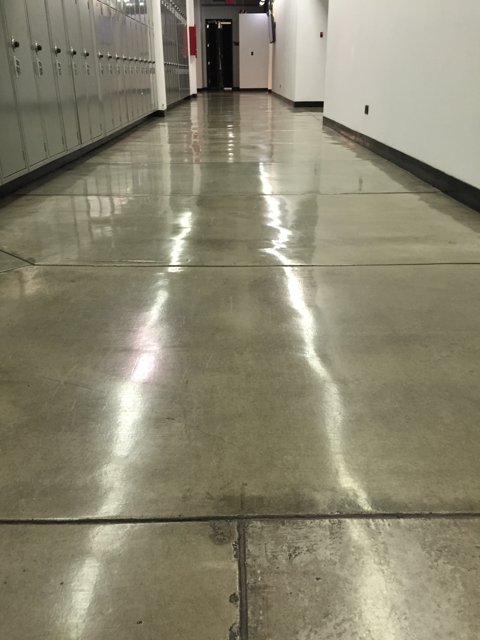 Gleaming Corridor
