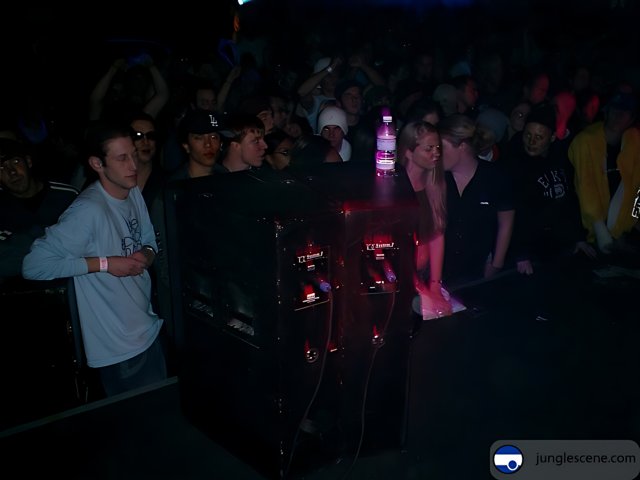 Nightclub Crowd Watching DJ Perform at a Concert