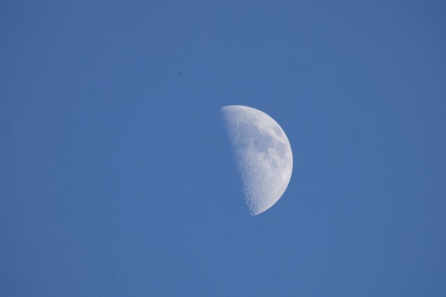 First Quarter Moon Rising Over Yosemite Twilight Sky