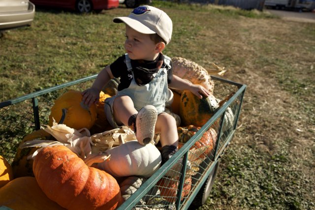 Pumpkin Joy: Wesley's Autumn Adventure