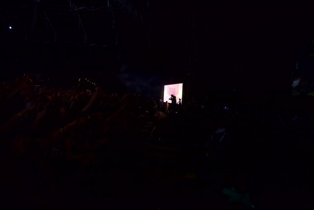 Coachella Concertgoers Enjoying the Show on the Big Screen