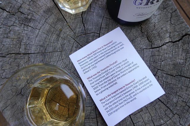 Wine Trivia on Weathered Tree Stump