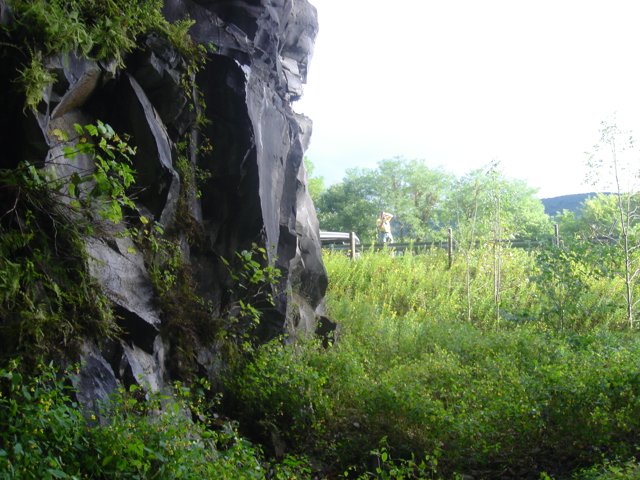 Cliff Face in the Wilderness