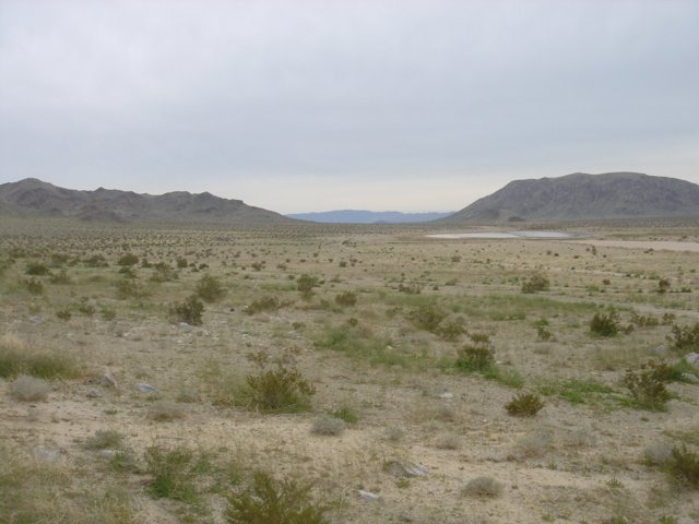 Serene Desert Landscape