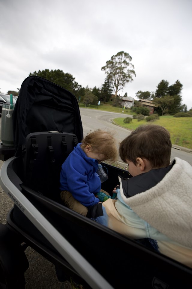 Children Share Tablet During Suburban Golf Cart Ride