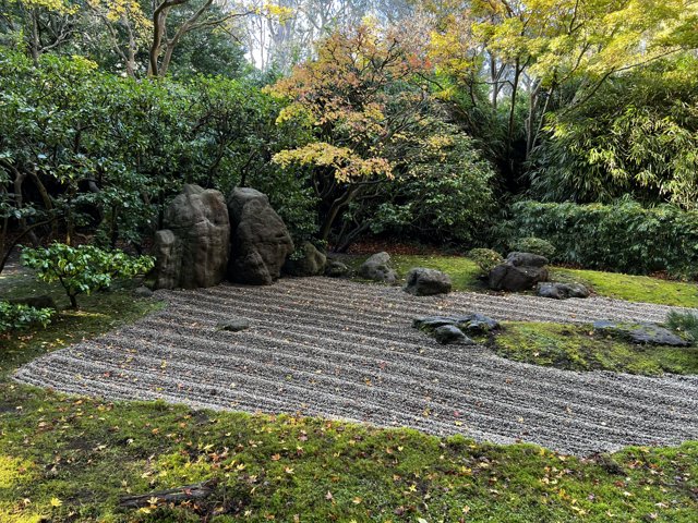 Serene Scene in a Japanese Garden