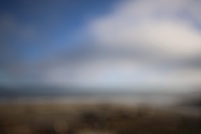 Misty Coastal Dawn at Drakes Beach Elephant Seal Colony