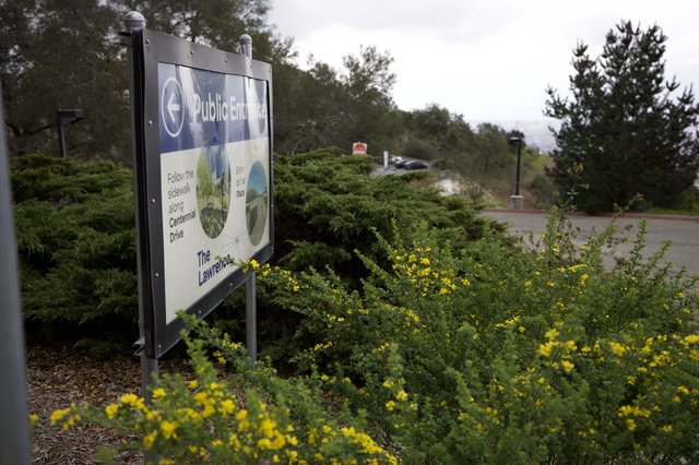 Public Entrance Sign Along Centennial Drive with Yellow Wildflowers