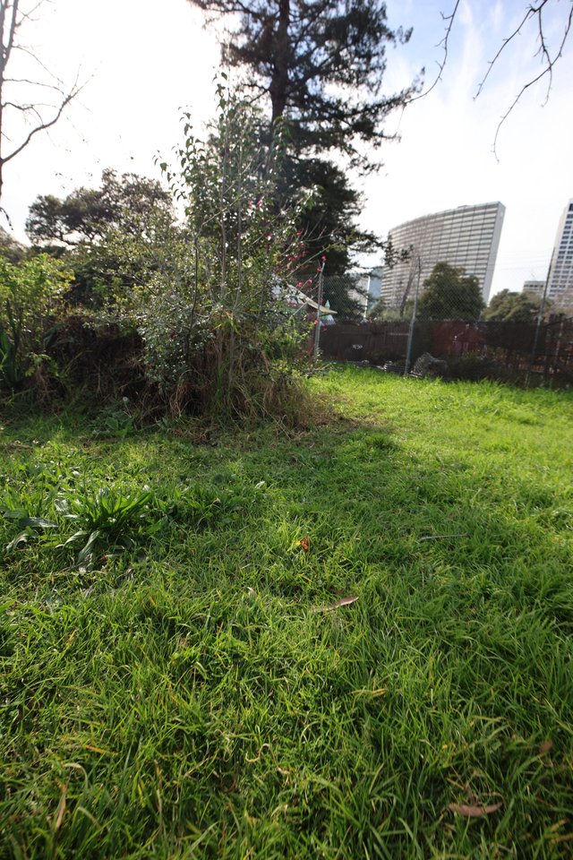 Urban Green Space with High-Rise Backdrop