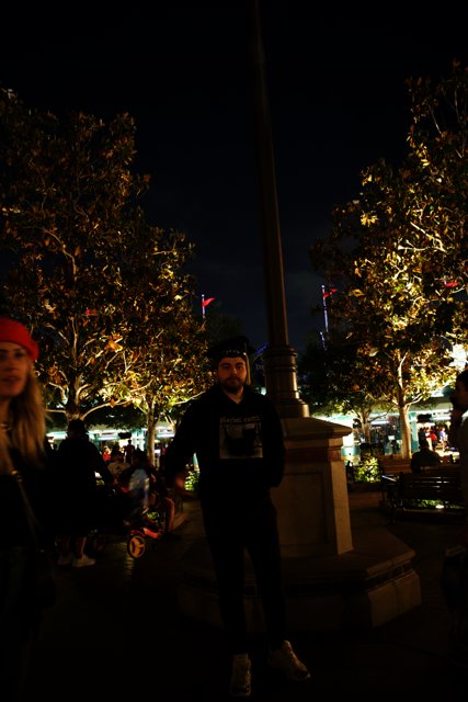 Enchanted Nighttime Stroll in Disneyland