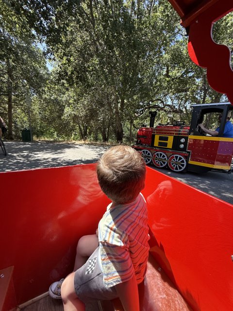 Summer Joyride in the Park
