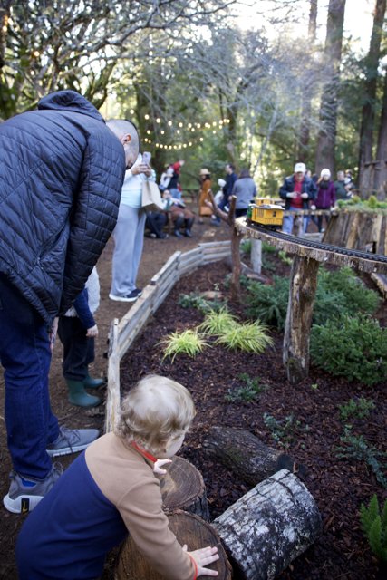Woodland Adventures at Thistlewyck