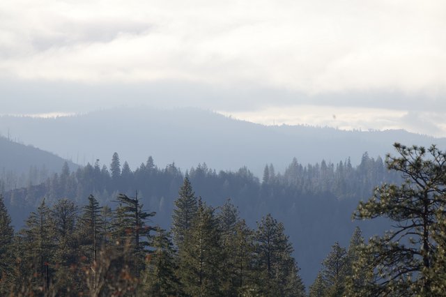 Misty Mountain Ridges Through Forest Haze
