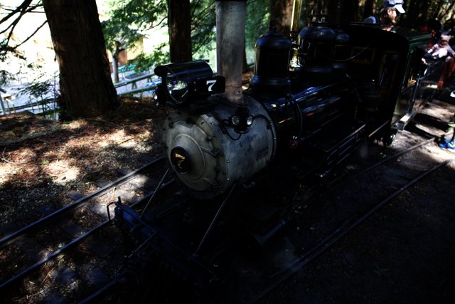 Nostalgic Steam Engine Adventure in Tilden Park