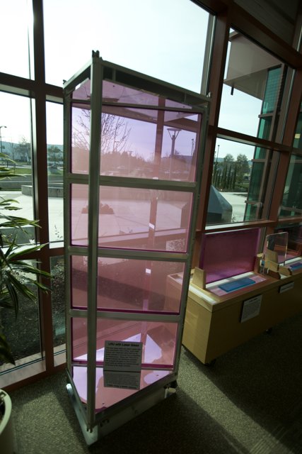 Pink-Tinted Display Case