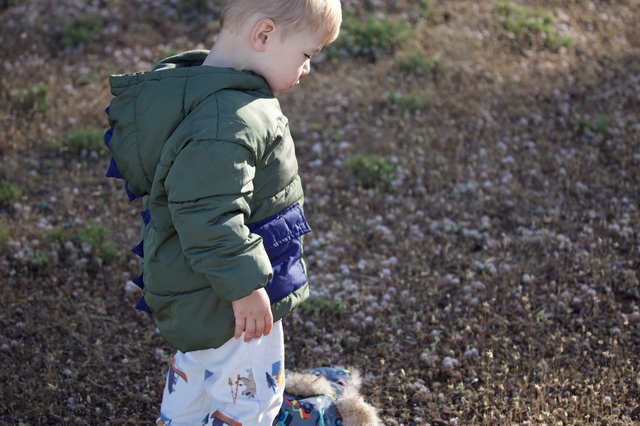 Toddler Explorer Discovers Nature at Mount Diablo