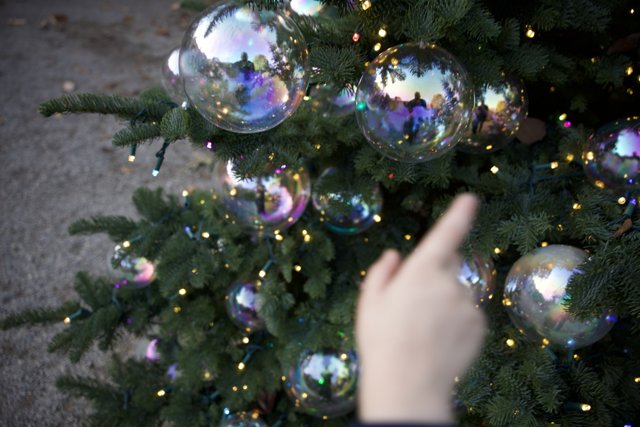 Reflective Wonders