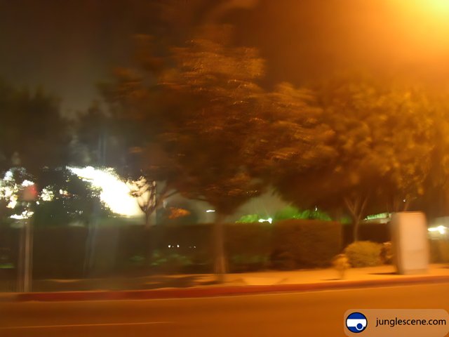 Blurry Night Street with Tree Lights