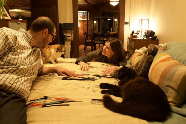 Couple Relaxing on Bed with Their Cats