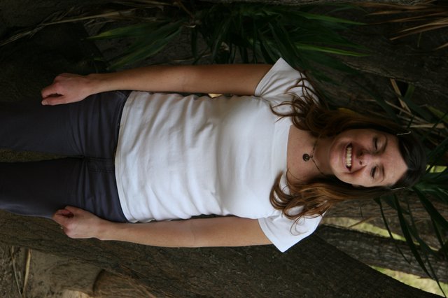 Previous