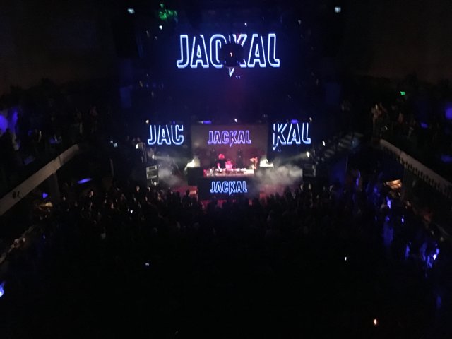 Crowd Rocking at the Jacal Nightclub