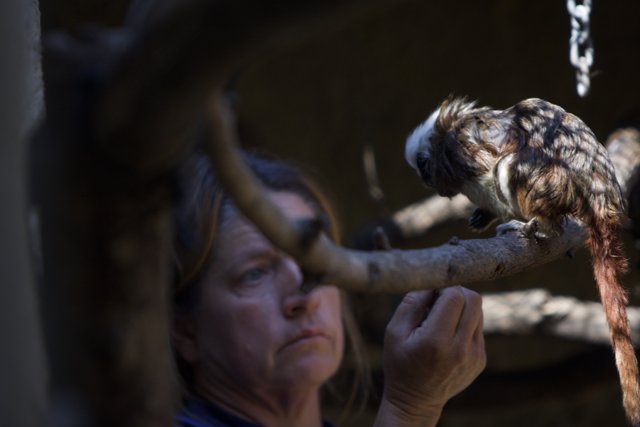 Woman feeding a bird in the zoo