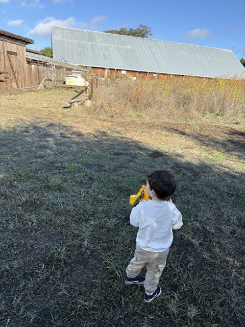 Little Explorer in the Countryside