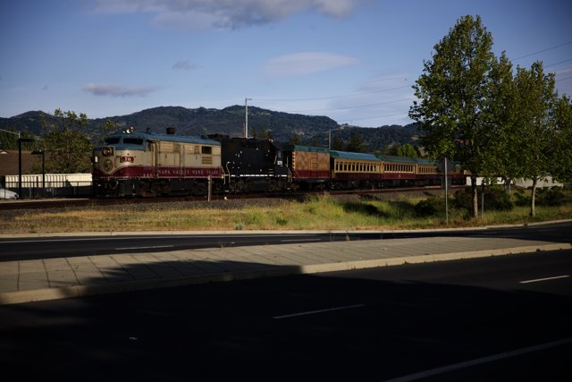 Chasing Trains in Napa Valley