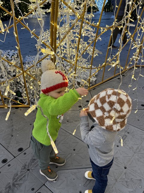 Winter Magic at PayPal Park