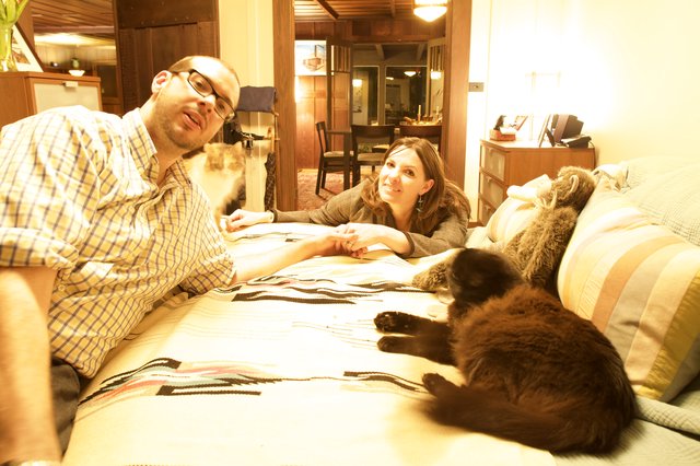 Couple Relaxing on Bed with Their Cats