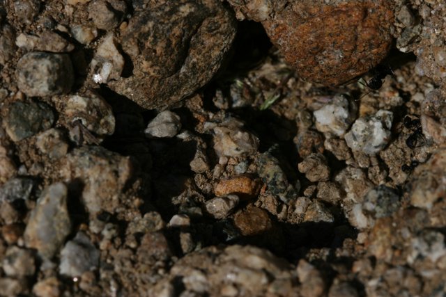 Rock and Pebble Texture