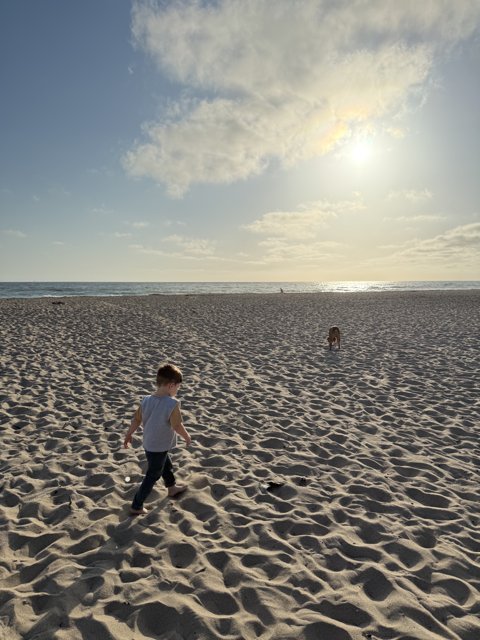 Strolling into the Sunset