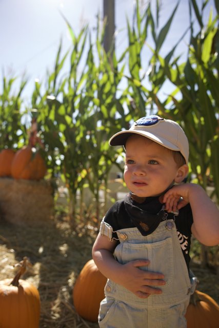 Harvest Time Memories: Wesley's Pumpkin Patch Adventure
