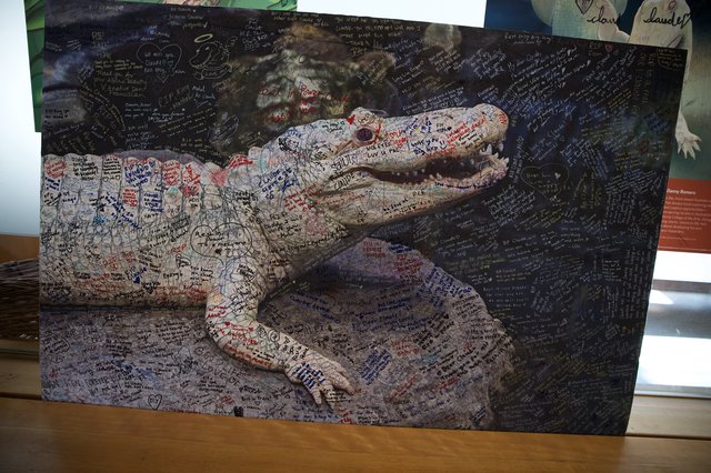Memorial Alligator Art Installation Covered in Handwritten Messages