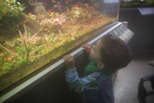 Curiosity Unleashed: Marine Exploration at the California Academy of Sciences