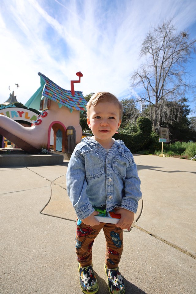 Toddler's Magical Day at Fantasyland Theme Park