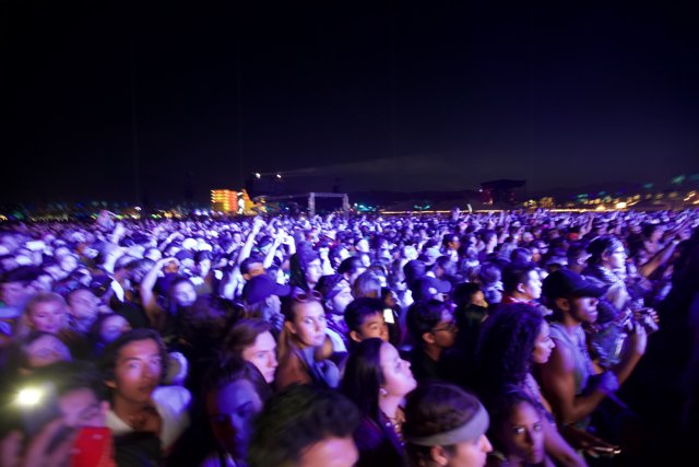 Nightlife at Coachella: A Crowd of Fun Seekers