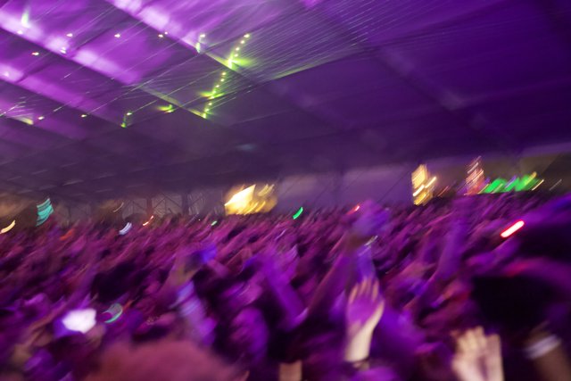 Nightlife Gets Lively at Coachella 2010