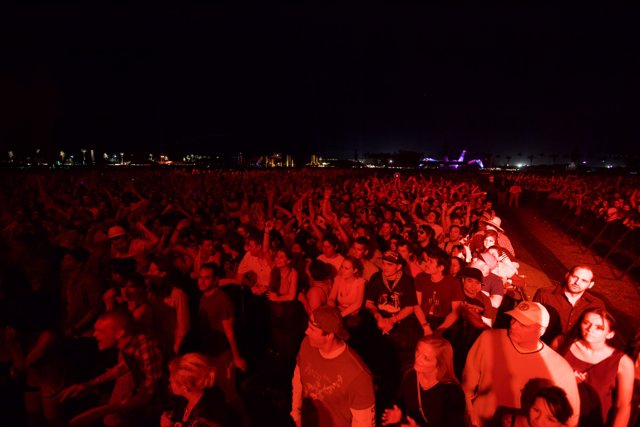 Crowd Cheers Under the Night Sky at Cochella 2010